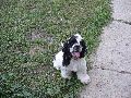 IMG_0645_.JPG