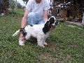 IMG_0650_.JPG