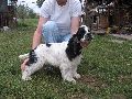 IMG_0651_.JPG