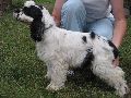 IMG_0652_.JPG
