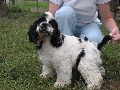 IMG_0653_.JPG