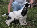 IMG_0654_.JPG