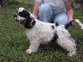 IMG_0655_.JPG
