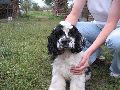 IMG_0658_.JPG