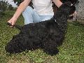 IMG_0661_.JPG