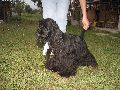 IMG_0662_.JPG