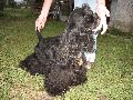 IMG_0664_.JPG