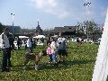 P1040538_.jpg