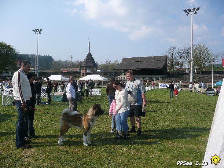 P1040541.jpg
