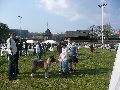 P1040541_.jpg