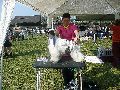 P1040542_.jpg