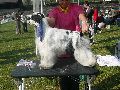 P1040543_.jpg