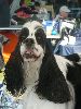 P1040548_.jpg
