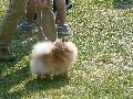 P1040554_.jpg