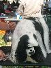 P1040555_.jpg