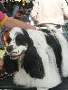 P1040556_.jpg