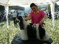 P1040560_.jpg