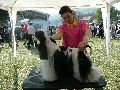 P1040561_.jpg