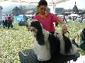 P1040570_.jpg