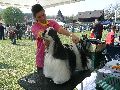 P1040572_.jpg