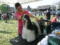 P1040573_.jpg