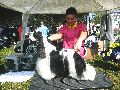 P1040580_.jpg