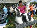 P1040584_.jpg