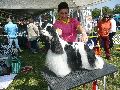P1040585_.jpg