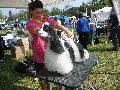 P1040587_.jpg