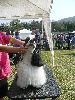 P1040592_.jpg
