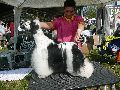 P1040595_.jpg