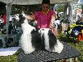 P1040596_.jpg