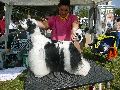 P1040597_.jpg