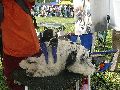 P1040604_.jpg