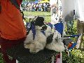 P1040605_.jpg