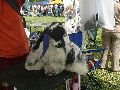 P1040606_.jpg