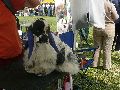 P1040607_.jpg