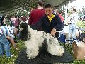 P1040612_.jpg
