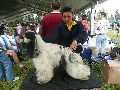 P1040613_.jpg