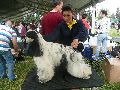 P1040614_.jpg