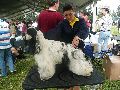 P1040616_.jpg