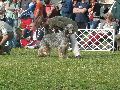 P1040619_.jpg