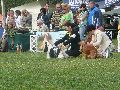 P1040637_.jpg