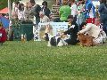 P1040640_.jpg