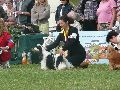 P1040655_.jpg
