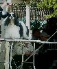P1040666_.jpg