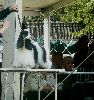 P1040667_.jpg