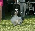 P1040669_.jpg