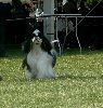 P1040670_.jpg