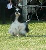 P1040671_.jpg